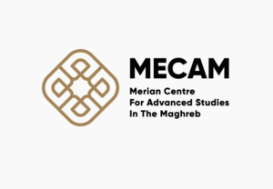MECAM Fellowships