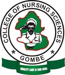 School of Nursing Gombe Admission Application Form 2025/2026