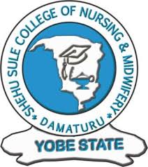 School of Basic Midwifery Damaturu