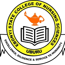 Ebonyi State School of Nursing Past Questions And Answers PDF For 2025/2026 Admission