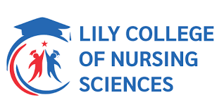 Nursing Officer at Lily Hospital