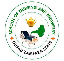 Community Midwifery Programme Gusau